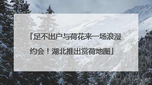 足不出户与荷花来一场浪漫约会！湖北推出赏荷地图