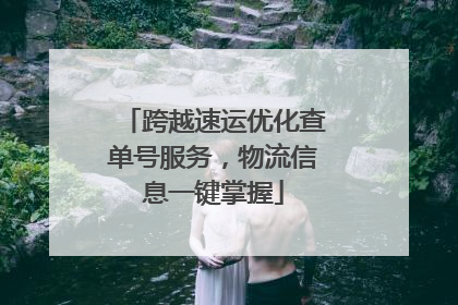 跨越速运优化查单号服务，物流信息一键掌握