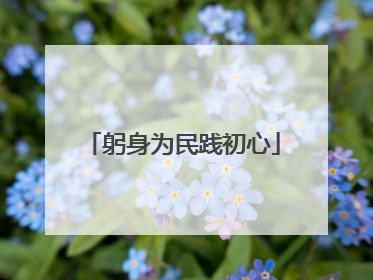 躬身为民践初心