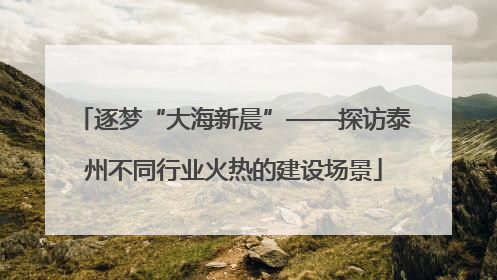 逐梦“大海新晨”——探访泰州不同行业火热的建设场景