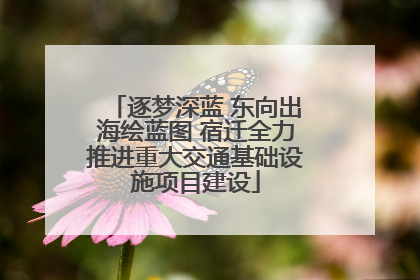逐梦深蓝 东向出海绘蓝图 宿迁全力推进重大交通基础设施项目建设
