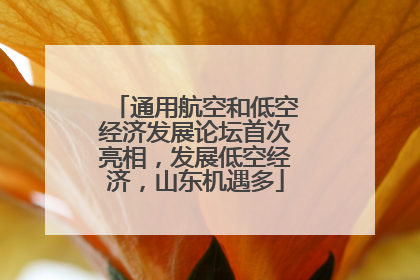 通用航空和低空经济发展论坛首次亮相，发展低空经济，山东机遇多