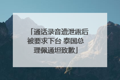 通话录音遭泄露后被要求下台 泰国总理佩通坦致歉