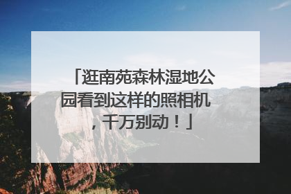 逛南苑森林湿地公园看到这样的照相机，千万别动！