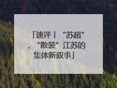 速评丨“苏超”，“散装”江苏的集体新叙事