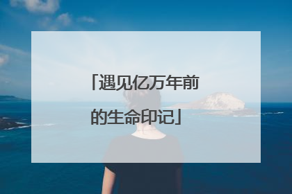 遇见亿万年前的生命印记