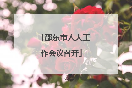 邵东市人大工作会议召开