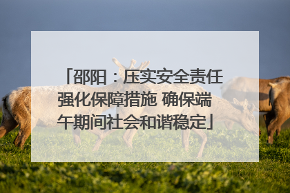 邵阳：压实安全责任强化保障措施 确保端午期间社会和谐稳定