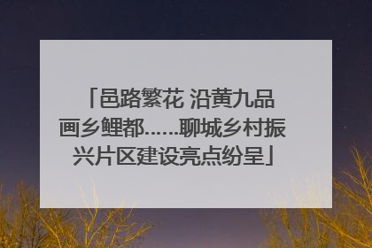 邑路繁花 沿黄九品 画乡鲤都……聊城乡村振兴片区建设亮点纷呈