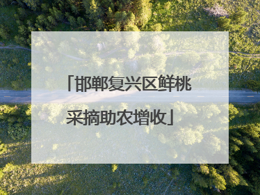 邯郸复兴区鲜桃采摘助农增收
