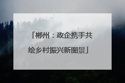 郴州：政企携手共绘乡村振兴新图景