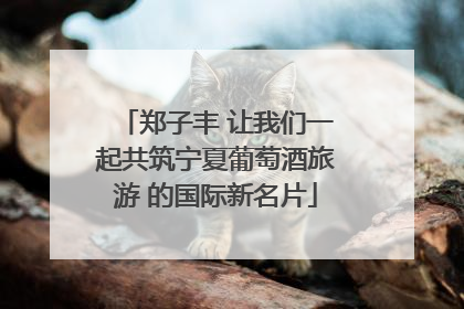 郑子丰 让我们一起共筑宁夏葡萄酒旅游 的国际新名片