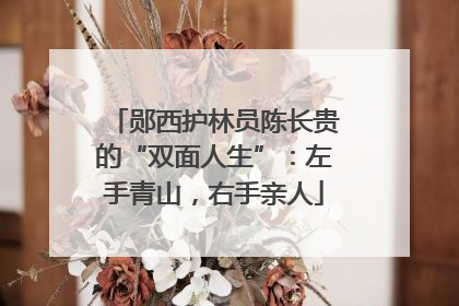郧西护林员陈长贵的“双面人生”：左手青山，右手亲人