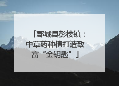 鄄城县彭楼镇：中草药种植打造致富“金钥匙”
