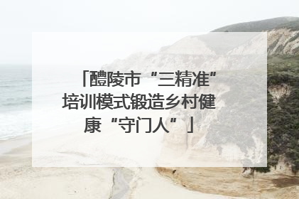 醴陵市“三精准”培训模式锻造乡村健康“守门人”