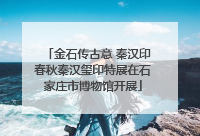 金石传古意 秦汉印春秋秦汉玺印特展在石家庄市博物馆开展