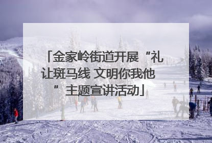 金家岭街道开展“礼让斑马线 文明你我他”主题宣讲活动