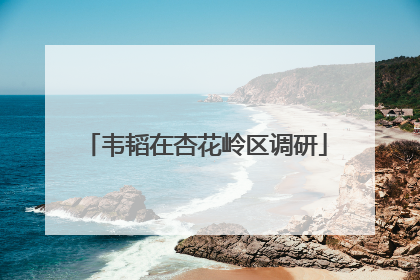 韦韬在杏花岭区调研