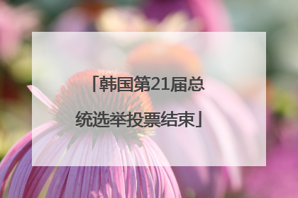 韩国第21届总统选举投票结束