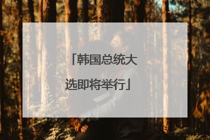 韩国总统大选即将举行