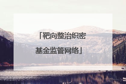 靶向整治织密基金监管网络