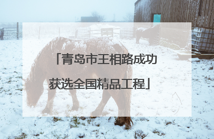 青岛市王相路成功获选全国精品工程