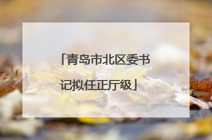 青岛市北区委书记拟任正厅级