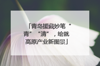 青岛援藏妙笔“青”“清”，绘就高原产业新图景