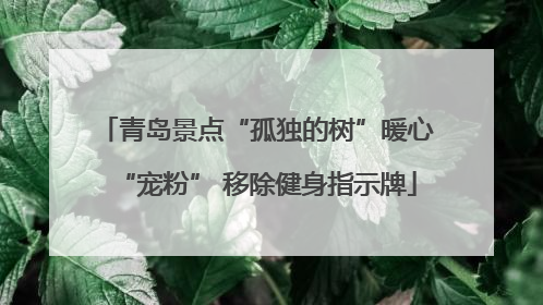 青岛景点“孤独的树”暖心“宠粉” 移除健身指示牌