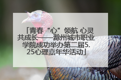 青春“心”领航 心灵共成长——滁州城市职业学院成功举办第二届5.25心理嘉年华活动