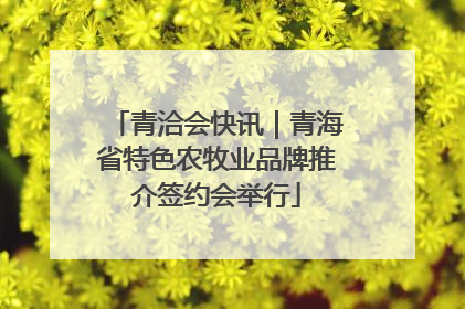 青洽会快讯｜青海省特色农牧业品牌推介签约会举行