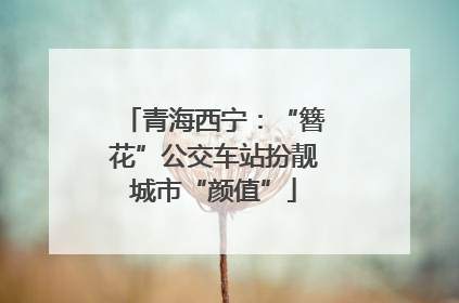 青海西宁：“簪花”公交车站扮靓城市“颜值”