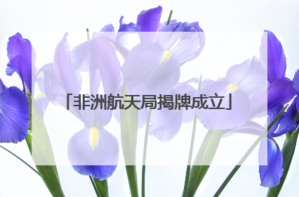 非洲航天局揭牌成立
