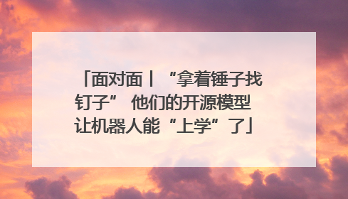 面对面丨“拿着锤子找钉子” 他们的开源模型让机器人能“上学”了