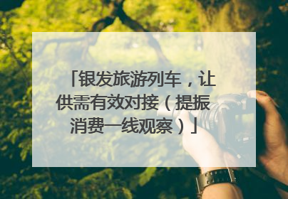 银发旅游列车，让供需有效对接（提振消费一线观察）