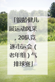 银龄健儿展运动风采，20队竞逐市运会（老年组）气排球赛