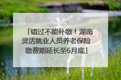 错过不能补缴！湖南灵活就业人员养老保险缴费期延长至6月底