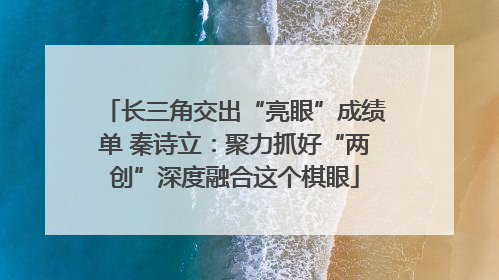 长三角交出“亮眼”成绩单 秦诗立：聚力抓好“两创”深度融合这个棋眼