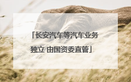 长安汽车等汽车业务独立 由国资委直管