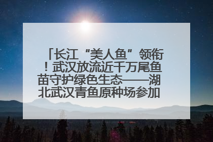 长江“美人鱼”领衔！武汉放流近千万尾鱼苗守护绿色生态——湖北武汉青鱼原种场参加2025年“全国放鱼日”增殖放流活动