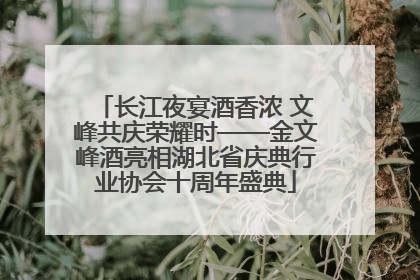 长江夜宴酒香浓 文峰共庆荣耀时——金文峰酒亮相湖北省庆典行业协会十周年盛典