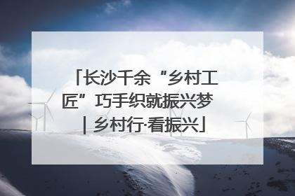长沙千余“乡村工匠”巧手织就振兴梦｜乡村行·看振兴