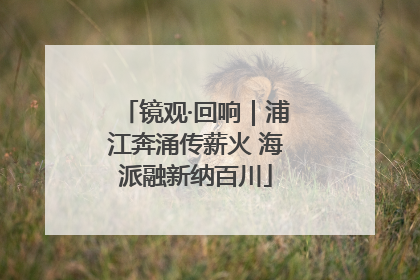 镜观·回响｜浦江奔涌传薪火 海派融新纳百川