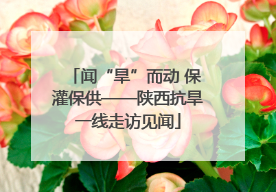 闻“旱”而动 保灌保供——陕西抗旱一线走访见闻