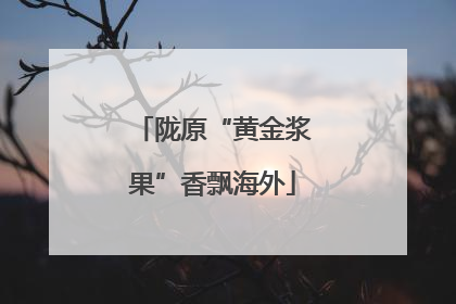 陇原“黄金浆果”香飘海外