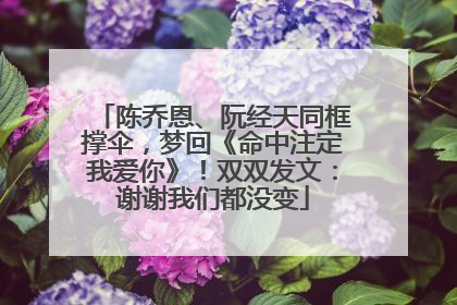 陈乔恩、阮经天同框撑伞，梦回《命中注定我爱你》！双双发文：谢谢我们都没变