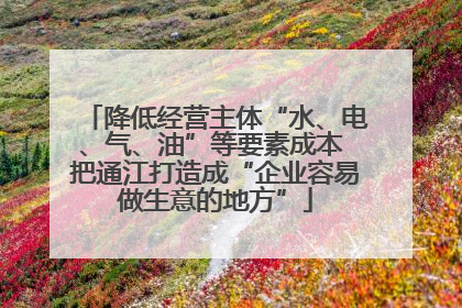 降低经营主体“水、电、气、油”等要素成本 把通江打造成“企业容易做生意的地方”