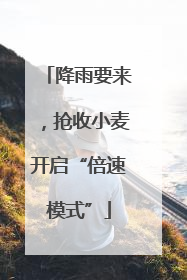 降雨要来，抢收小麦开启“倍速模式”