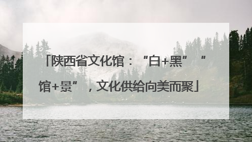 陕西省文化馆：“白+黑”“馆+景”，文化供给向美而聚