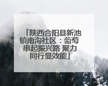 陕西合阳县新池镇南沟社区：葡萄串起振兴路 聚力同行显效能